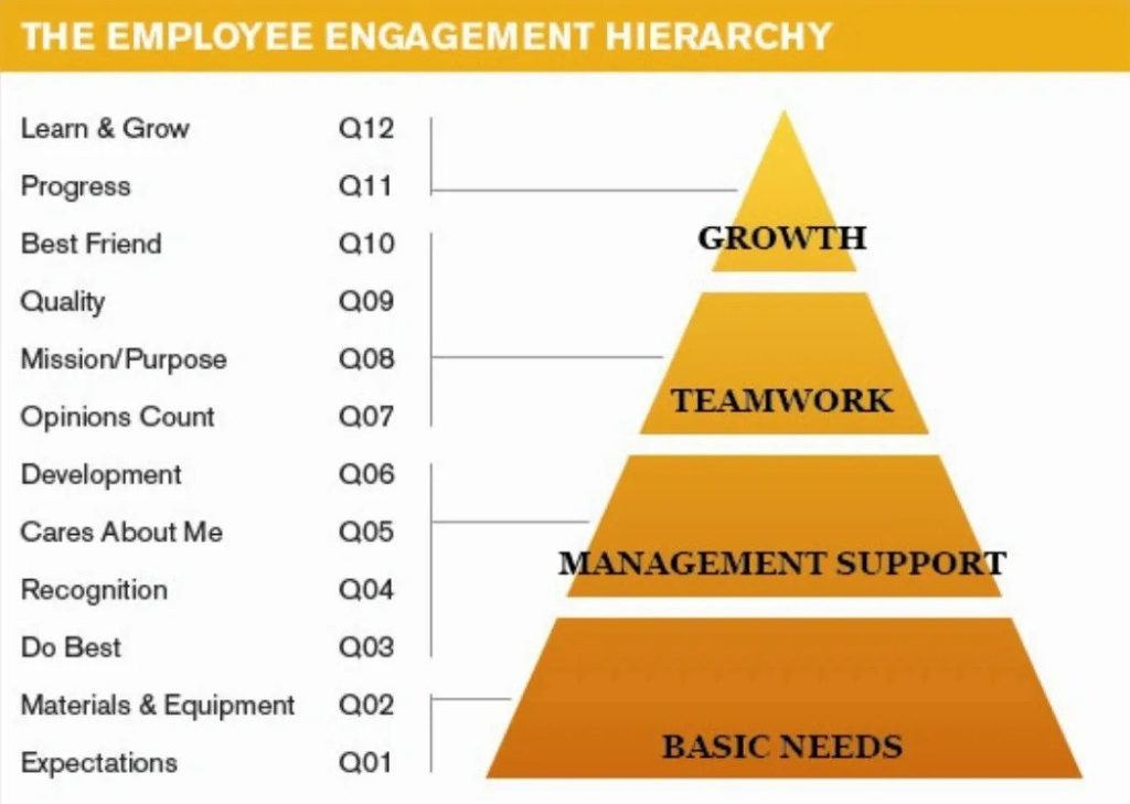 https-www-iriseexecutivecoaching-com-wp-content-uploads-2020-06-employee-1024x729-jpg