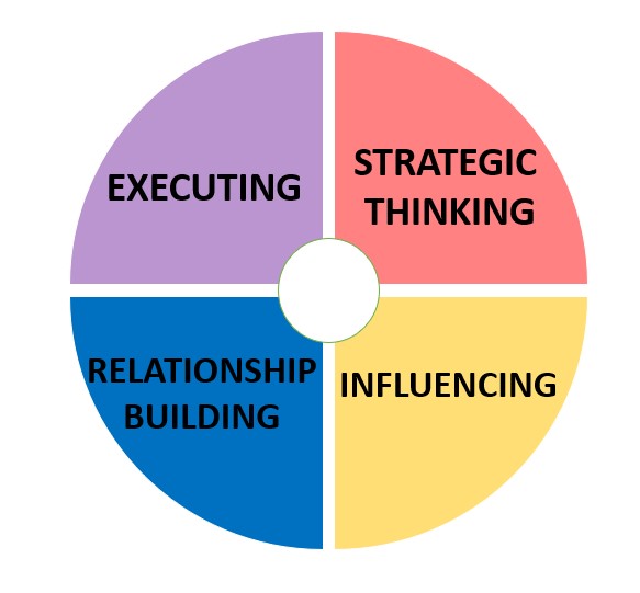 https-www-iriseexecutivecoaching-com-wp-content-uploads-2020-11-strengths-domains-jpg