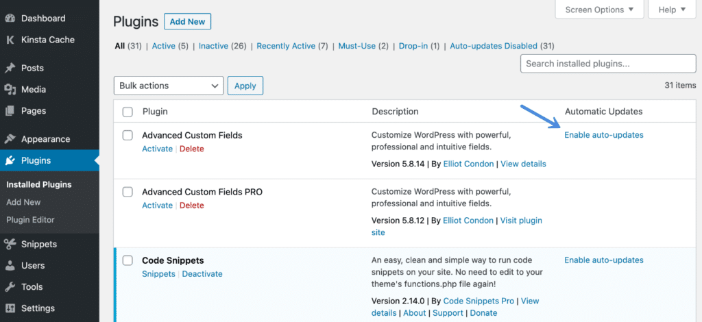 auto update in wordpress