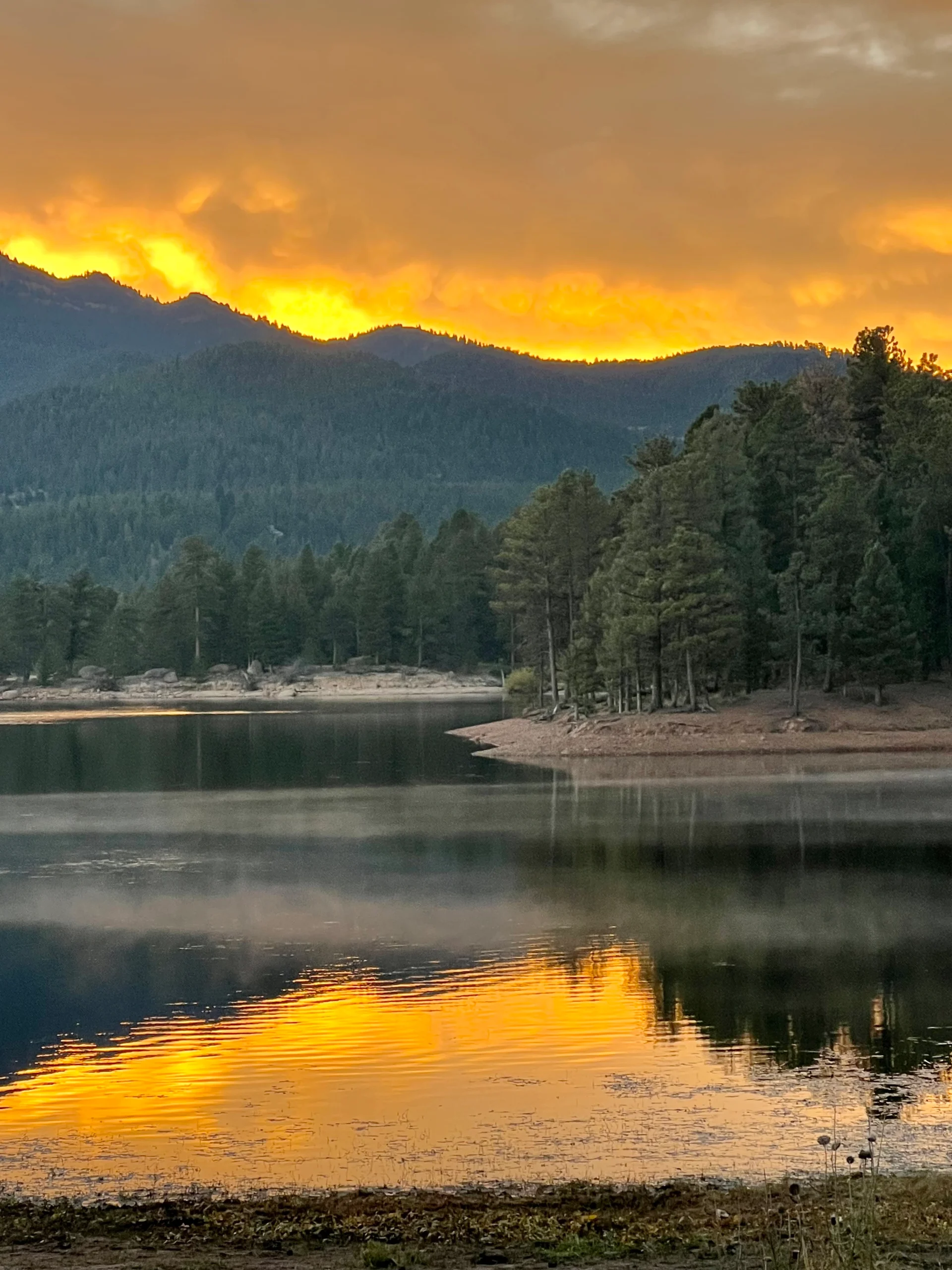 The Role That Will Double Your Revenue and Decrease Your Anxiety