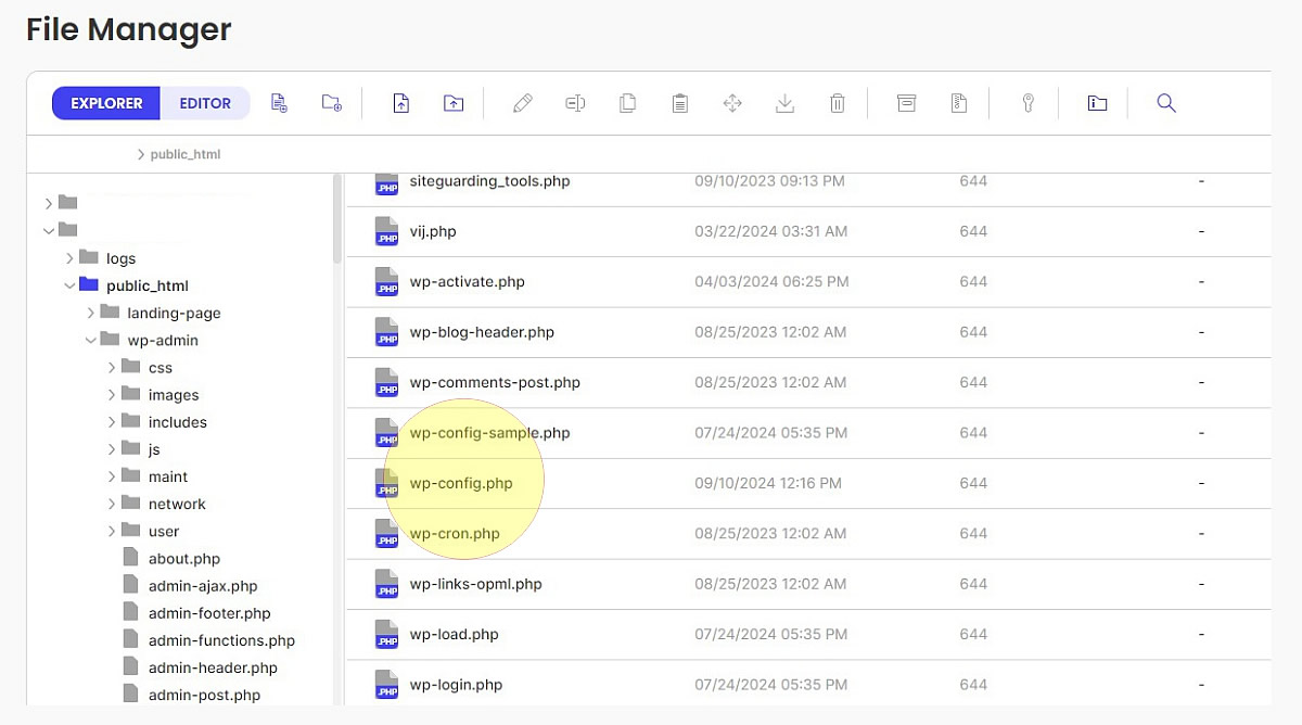 wp-config.php file in cPanel 