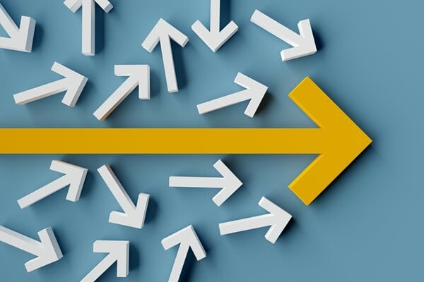 The One Principle that Should Drive Every Business Decision