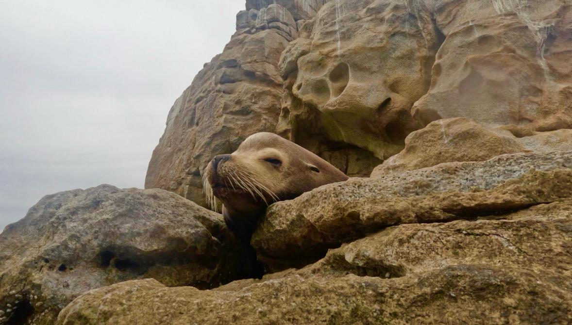 Navigating Differing Perspectives